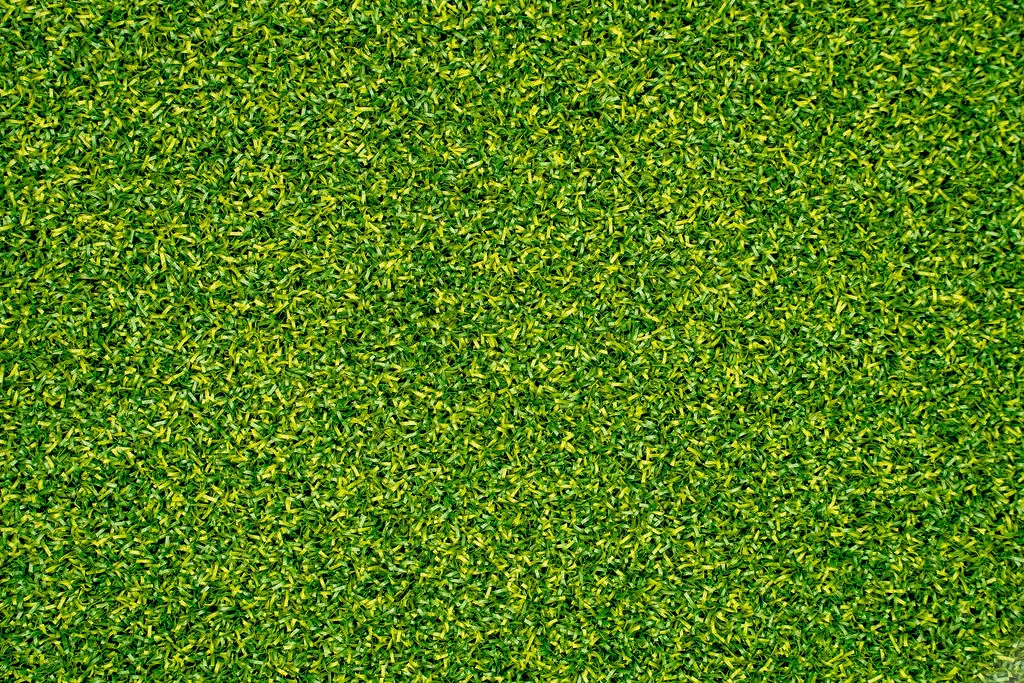 Crown Putt view 5
